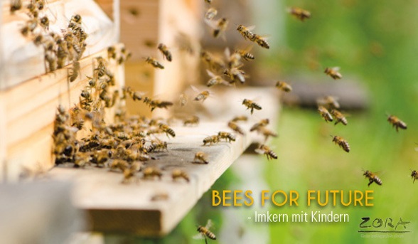 BEES FOR FUTURE - Imkern mit Kindern