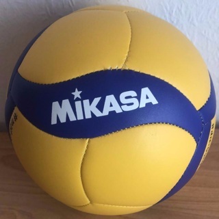 Unterschriebener Mini-Volleyball