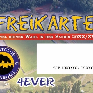 Freikarte für ein Heimspiel der 1. Männermannschaft des SC Bernburg  und Veröffentlichung auf unserer homepage