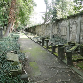 Nistkasten-Patenschaft auf dem Eliasfriedhof in Dresden