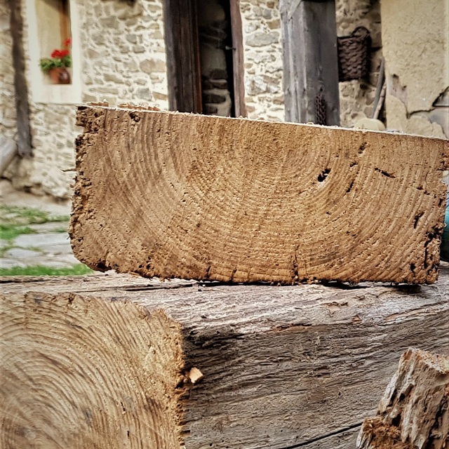 1 Baumscheibe vom Originalholz des Hauses