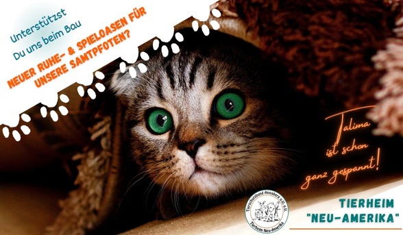 Ruhe- &amp; Spieloasen für unsere Tierheimkatzen
