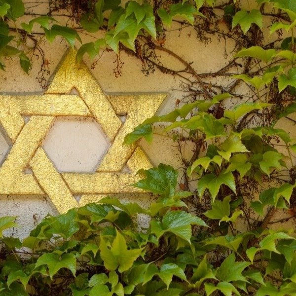 Führung in der Dresdner Synagoge