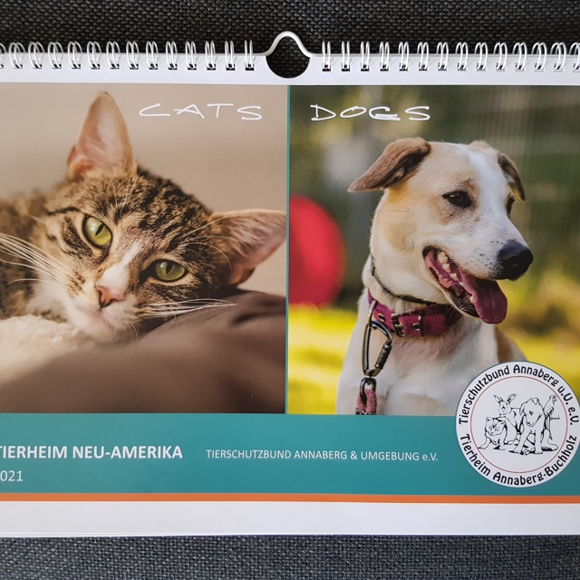 Tierheim-Kalender 2022