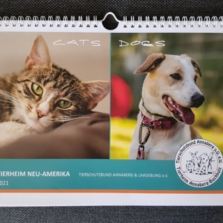 Tierheim-Kalender 2022