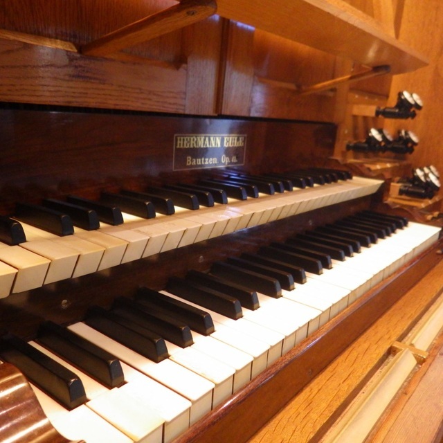 Persönliche Orgelführung: von Bach bis Linking Park