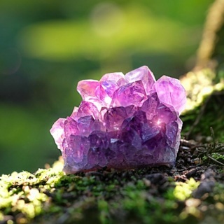 Der Verwunschene Kristall