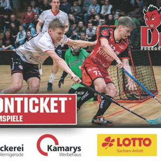 1 Saison-Ticket 1. Floorball Bundesliga (Red Devils)